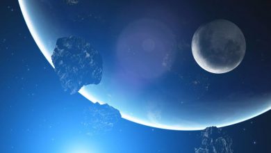 داستانی از چگونگی شکل‌گیری حیات پیچیده در زمین