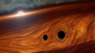 در هنگام ادغام سیاهچالهها چه اتفاقی میافتد؟