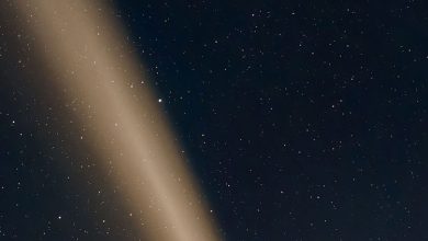 دنباله‌دار تسوچین‌شان-آتلانتیس در کالیفرنیا