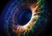 رقیب نورالینک میگوید با ایمپلنت چشم خود بینایی را به نابینایان بازمیگرداند