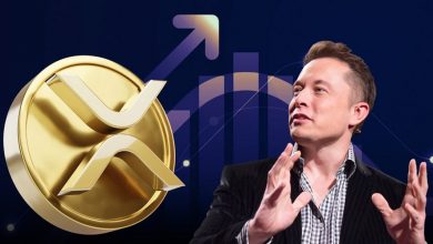 ریپل در کانون توجه؛ راز رشد ناگهانی XRP در پی اظهارات جنجالی ایلان ماسک!