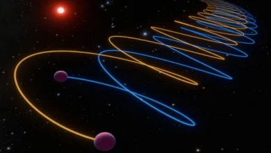 ستارهشناسان معمای ۳۰ ساله کوتوله قهوهای عجیب را سرانجام حل کردند