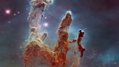 ستونهای تولد ستارهها: M16