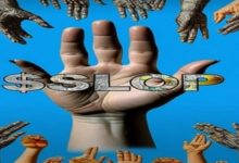 سود بیش از ۲۰۰۰ درصدی یک معاملهگر از جدیدترین میمکوین سولانا!