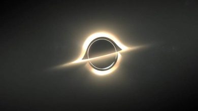 سیاهچالهای که در حال تکهتکه کردن یک ستاره است