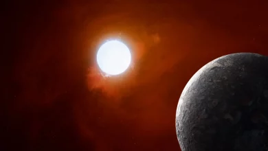 شاید زمین با مرگ خورشید محکوم به فنا نباشد