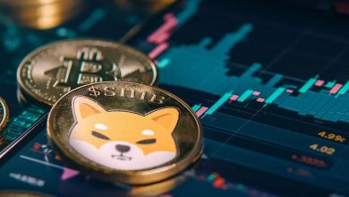 شیبا اینو حتی بهتر از بیتکوین؟ اظهارات شیتوشی کوساما جنجال برانگیخت!
