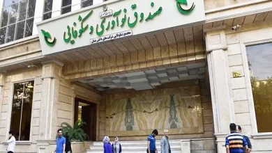 صندوق نوآوری ۹ همت خدمات مالی به دانش‌بنیان‌ها داد