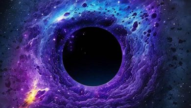 ماده تاریک در یک جهان شبیه‌سازی‌شده