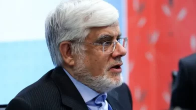 محمدرضا عارف رئیس سازمان ملی هوش مصنوعی شد