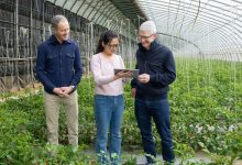 مدیرعامل و مدیر ارشد عملیات اپل در سفری غیرمنتظره به چین رفتند