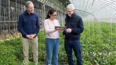 مدیرعامل و مدیر ارشد عملیات اپل در سفری غیرمنتظره به چین رفتند