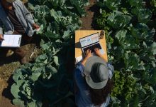 مک‌بوک پرو M4 طولانی‌ترین شارژدهی را در بین تمامی لپ‌تاپ‌های اپل دارد