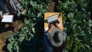 مکبوک پرو M4 طولانیترین شارژدهی را در بین تمامی لپتاپهای اپل دارد