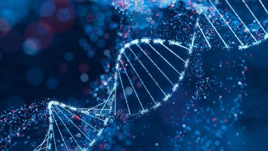 پژوهشگران روی فضای ذخیره‌سازی مبتنی‌بر DNA کار می‌کنند؛ ذخیره‌سازی ۲۱۵ هزار ترابایت در هر گرم