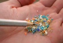 یافته شوکهکننده: نوزادان از مادر خود میکروپلاستیک به ارث میبرند