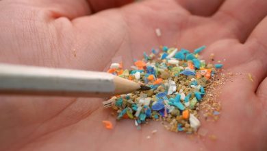 یافته شوکه‌کننده: نوزادان از مادر خود میکروپلاستیک به ارث می‌برند