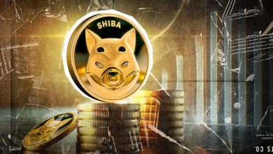 آرامش مشکوک در بازار شیبا اینو؛ آیا طوفان قیمتی در راه است؟!