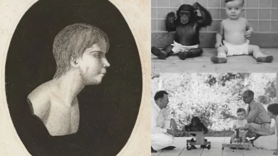 آزمایش ممنوعه: تلاش‌های غیراخلاقی برای درک ماهیت زبان و ویژگی‌های انسان