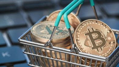 آشنایی با سبد هولد ارز دیجیتال؛ چگونه یک سبد سرمایهگذاری متعادل تشکیل دهیم؟