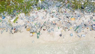 آلودگی پلاستیکی سواحل اکنون از فضا قابل مشاهده است