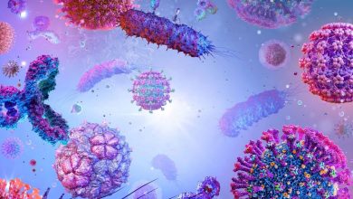 آیا بیماری عفونی با نرخ مرگومیر ۱۰۰ درصد وجود دارد؟