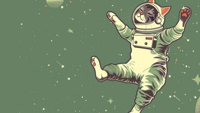 آیا گربهها در شرایط بیوزنی همچنان روی پاهایشان فرود میآیند؟