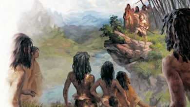 اجداد ما با سه گروه از انسانتباران دنیسووا زادوولد داشتند