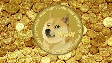 احداث «وزارت بهرهوری دولت» (DOGE) آمریکا، قیمت دوج کوین را افزایش داد