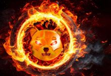 افزایش ۶۲۰۰ درصدی نرخ شیباسوزی! رویای صعود قیمت SHIB به ۱ دلار نزدیک است؟