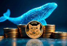 افزایش ۷۰۰۰ درصدی انباشت نهنگهای شیبا! قیمت SHIB در آستانه رکوردشکنی است؟