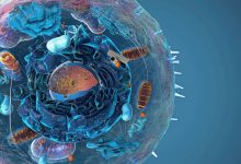 اندامکهای سرکش درون سلولها میتوانند کلید کشف منشاء حیات باشند