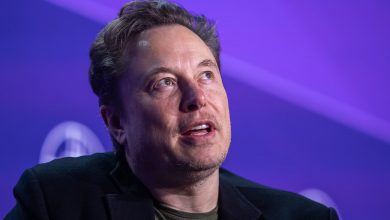 ایلان ماسک چه برنامهای برای وزارت بهرهوری دولت آمریکا دارد؟