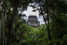 باستان‌شناسان شهری پنهان از تمدن مایا را در دل جنگل‌های مکزیک کشف کردند