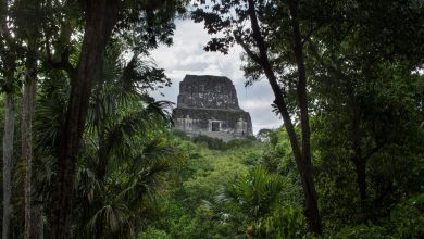 باستان‌شناسان شهری پنهان از تمدن مایا را در دل جنگل‌های مکزیک کشف کردند