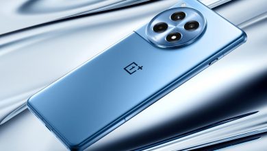 برادر اقتصادی وانپلاس ۱۳ در گیکبنچ رؤیت شد