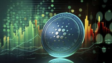 بررسی دلایل افزایش قیمت کاردانو در هفته اخیر؛ رالی افزایشی تا کجا ادامه دارد؟