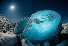 برندگان 2024 قدیمیترین مسابقه عکاسی جهان مشخص شدند؛ تقدیر از یک عکاس ایرانی