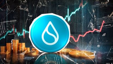 تحلیل تکنیکال و پیشبینی قیمت سویی؛ آیا موج صعودی جدیدی در راه است؟