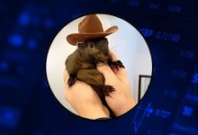 تحلیل نمودار پینات پس از سقوط ۳۰ درصدی؛ رالی بهبود را از دست ندهید!