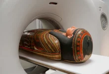 تصاویر سیتی اسکن اسرار مومیایی سههزار ساله مصری را فاش کرد