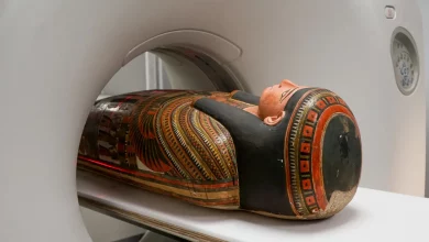 تصاویر سیتی اسکن اسرار مومیایی سههزار ساله مصری را فاش کرد