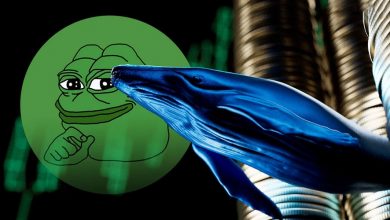 تغییر استراتژی نهنگهای پپه؛ کدام ارز دیجیتال جایگزین PEPE شده است؟