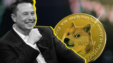 تورم دوج‌کوین به نفع این میم‌کوین است یا به ضرر آن؟ ایلان ماسک پاسخ می‌دهد!