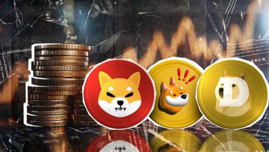 جنون میمکوینها؛ ارزش بازار توکنهای میم رکورد تاریخی ۱۲۰ میلیارد دلار را شکست!