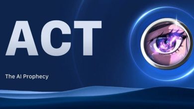 حمایت وینترمیوت از ACT؛ منتظر رشد انفجاری این میم‌کوین جدید سولانا باشیم؟