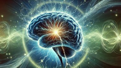 خودآگاهی ممکن است در میدان‌های الکتریکی مغز ما پنهان شده باشد