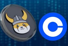 درخشش فلوکی در بازار میمکوینها؛ جهش قیمت به اوج ۴ ماهه با حمایت کوینبیس!