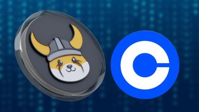 درخشش فلوکی در بازار میمکوینها؛ جهش قیمت به اوج ۴ ماهه با حمایت کوینبیس!