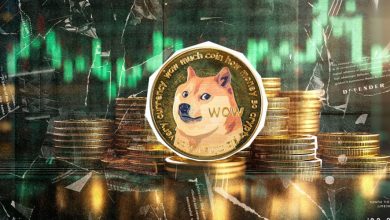 دوجکوین دوباره اوج گرفت؛ ۱۵۰ درصد سودآوری تنها در یک هفته!